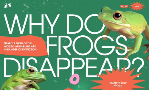 Frogs Disappear