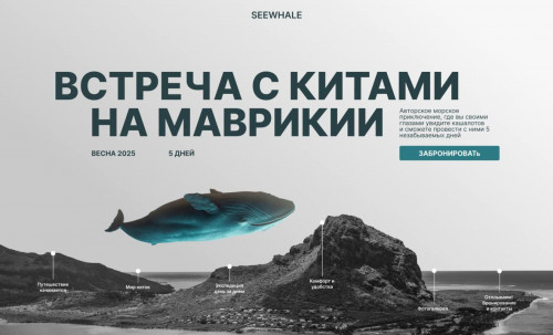 SEEWHALE