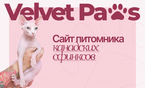 Velvet Paws