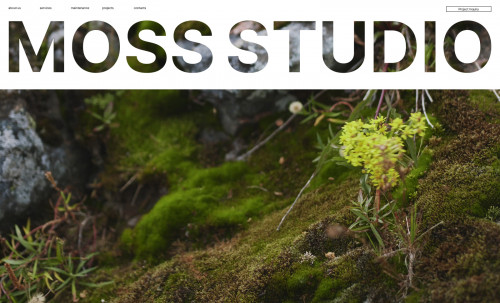 Moss Studio