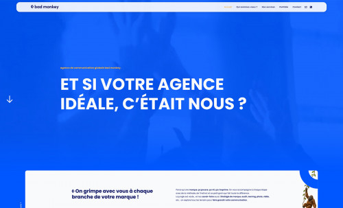Agence Bad Monkey