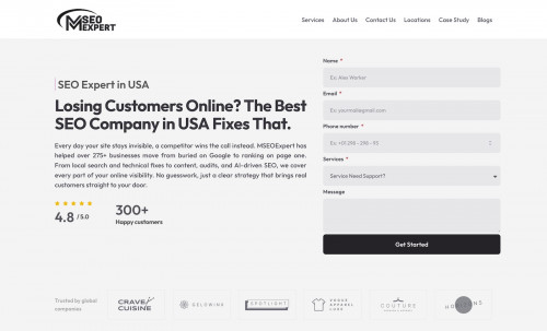 MSEOExpert