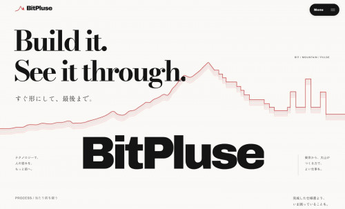 BitPluse