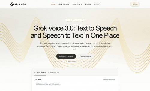 Grok Voice 3 0