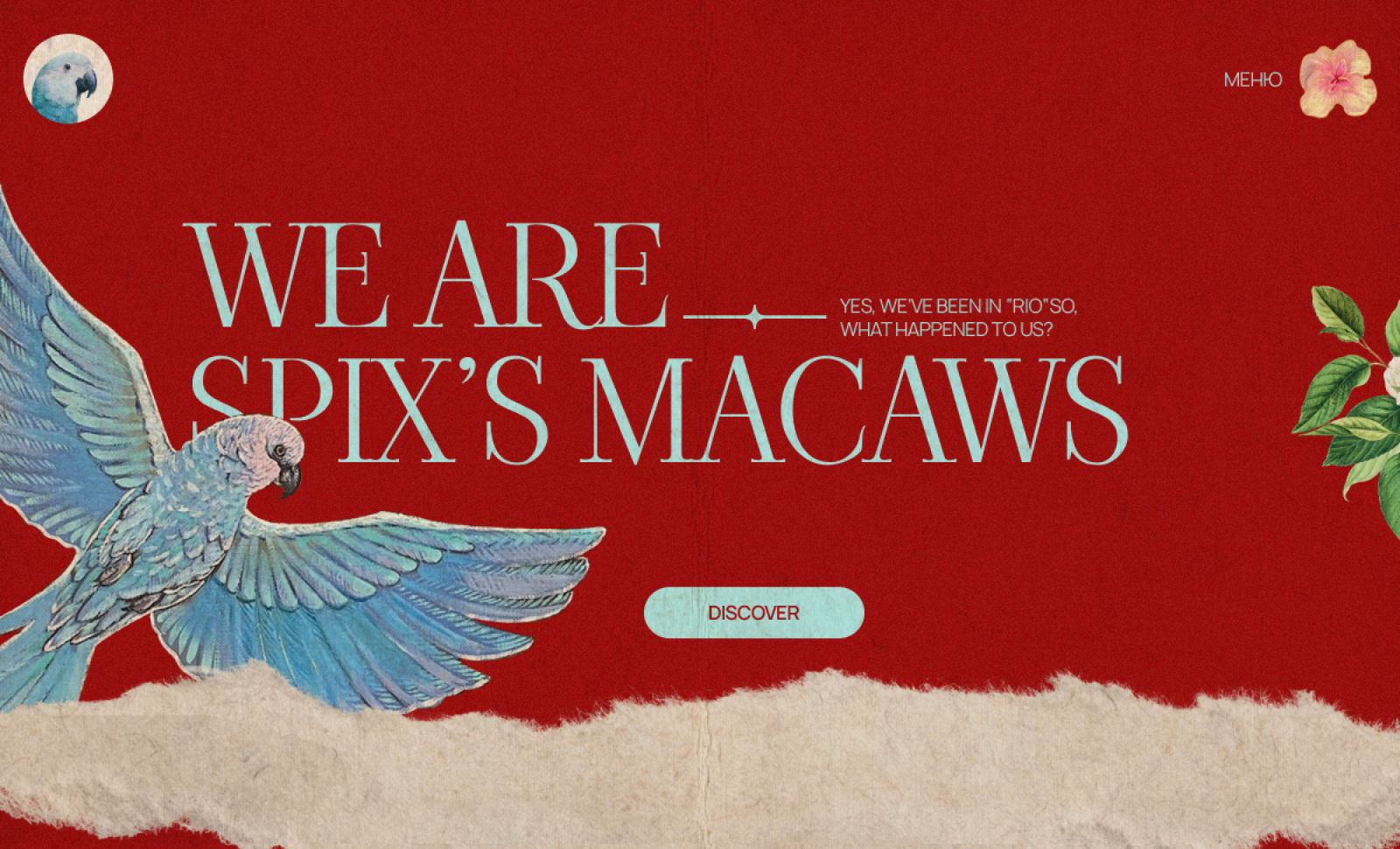 Spixs Macaws
