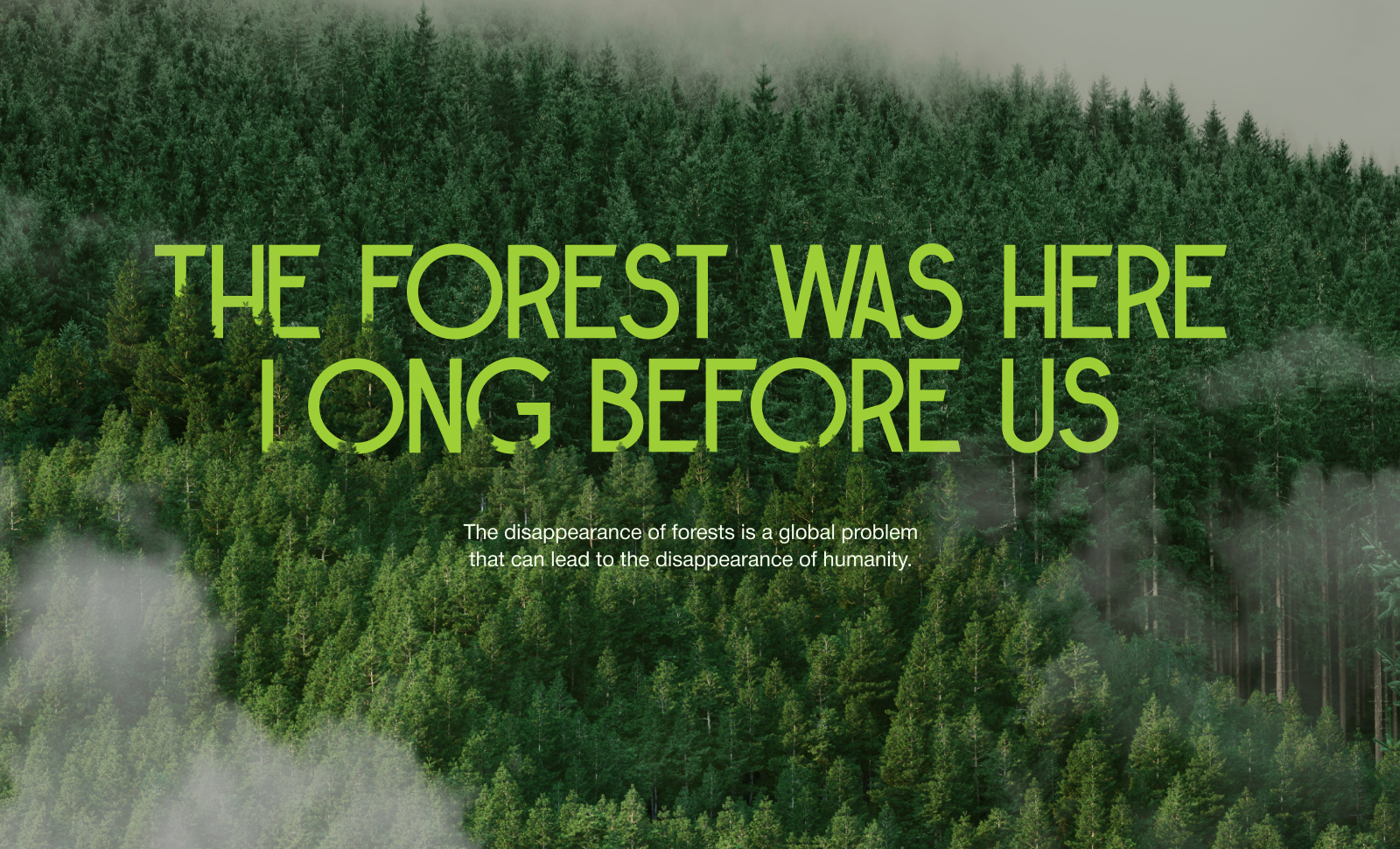 The forest is the lungs of our planet