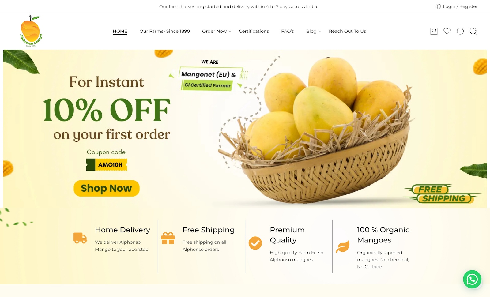 Alphonso Mangoes Online