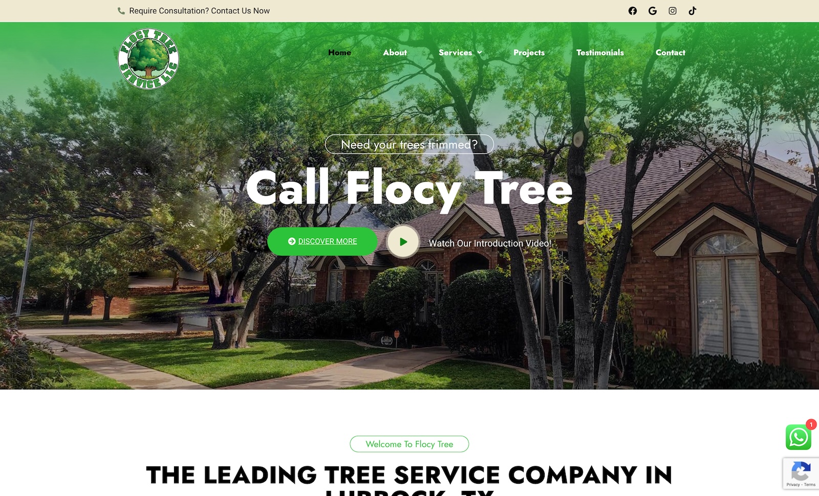 Flocy Tree