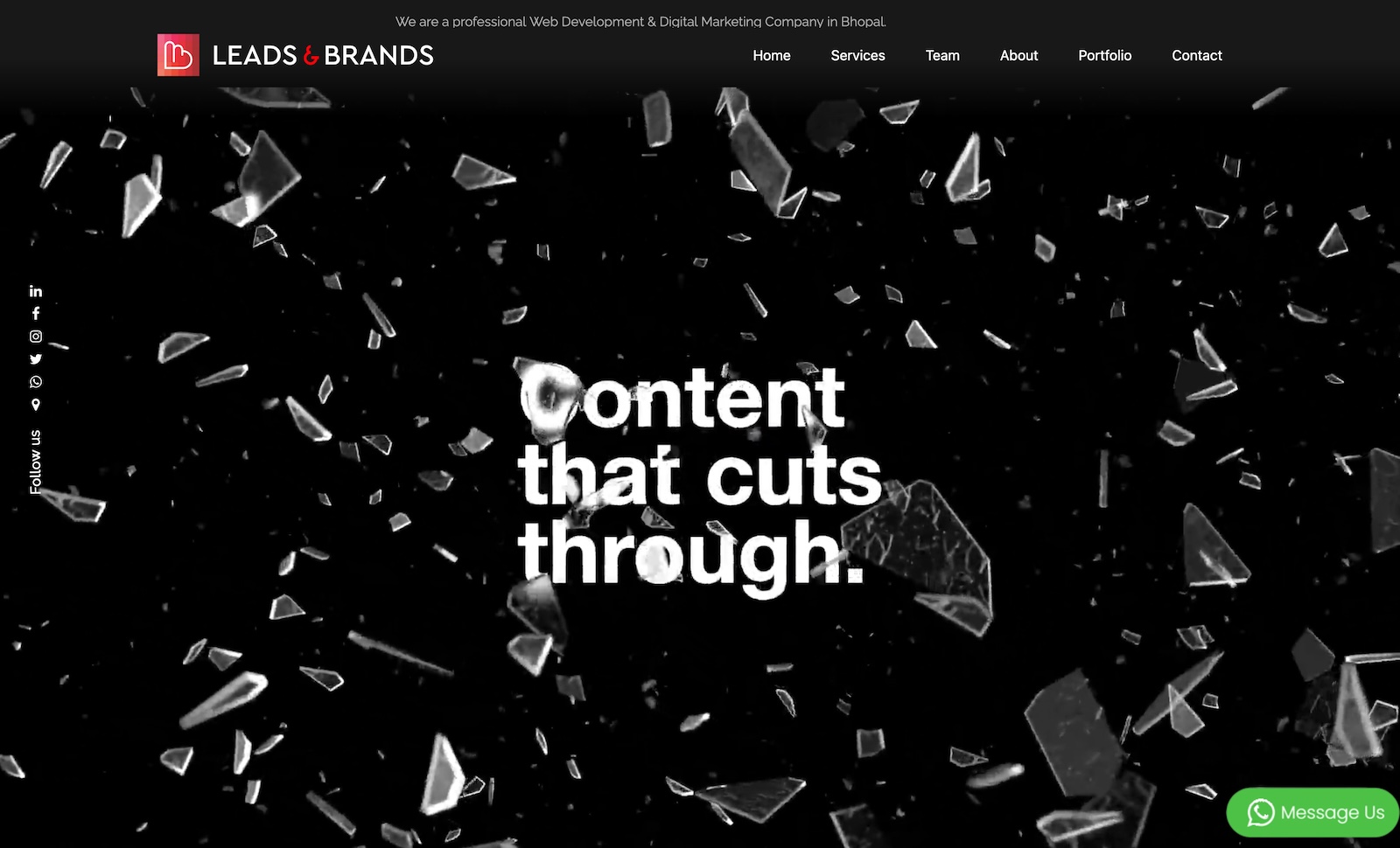 Leads and Brands