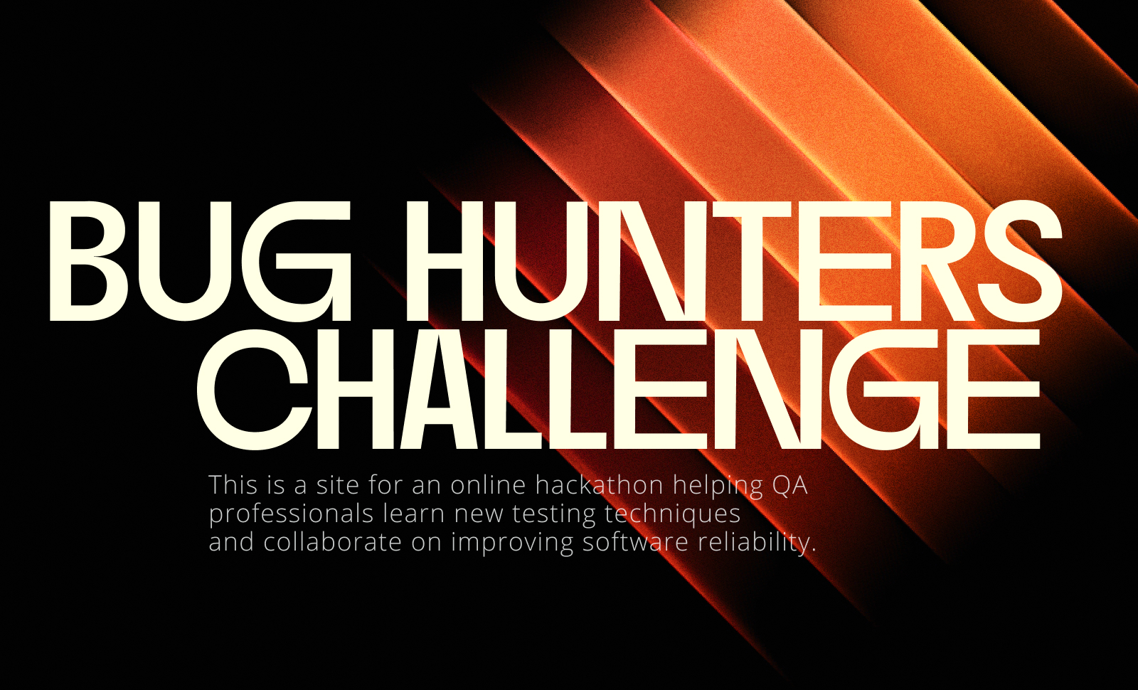 Bug Hunters Challenge