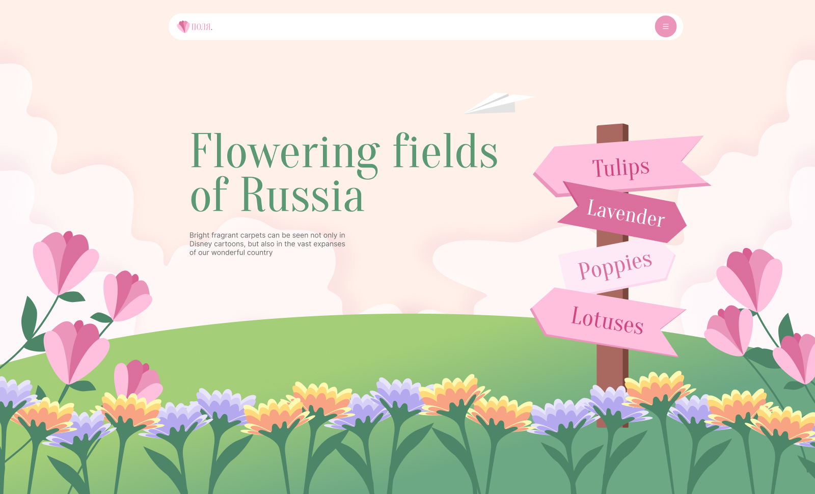 Flowering fields of Russia