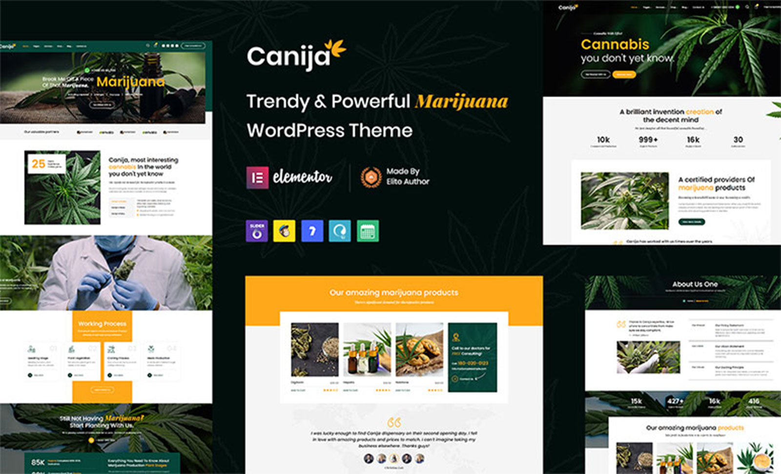 Canija WordPress Theme