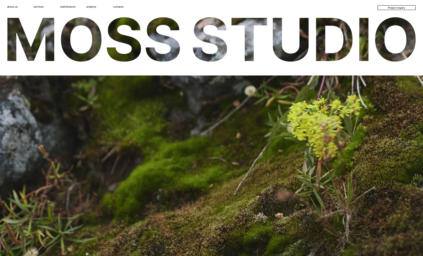 Moss Studio