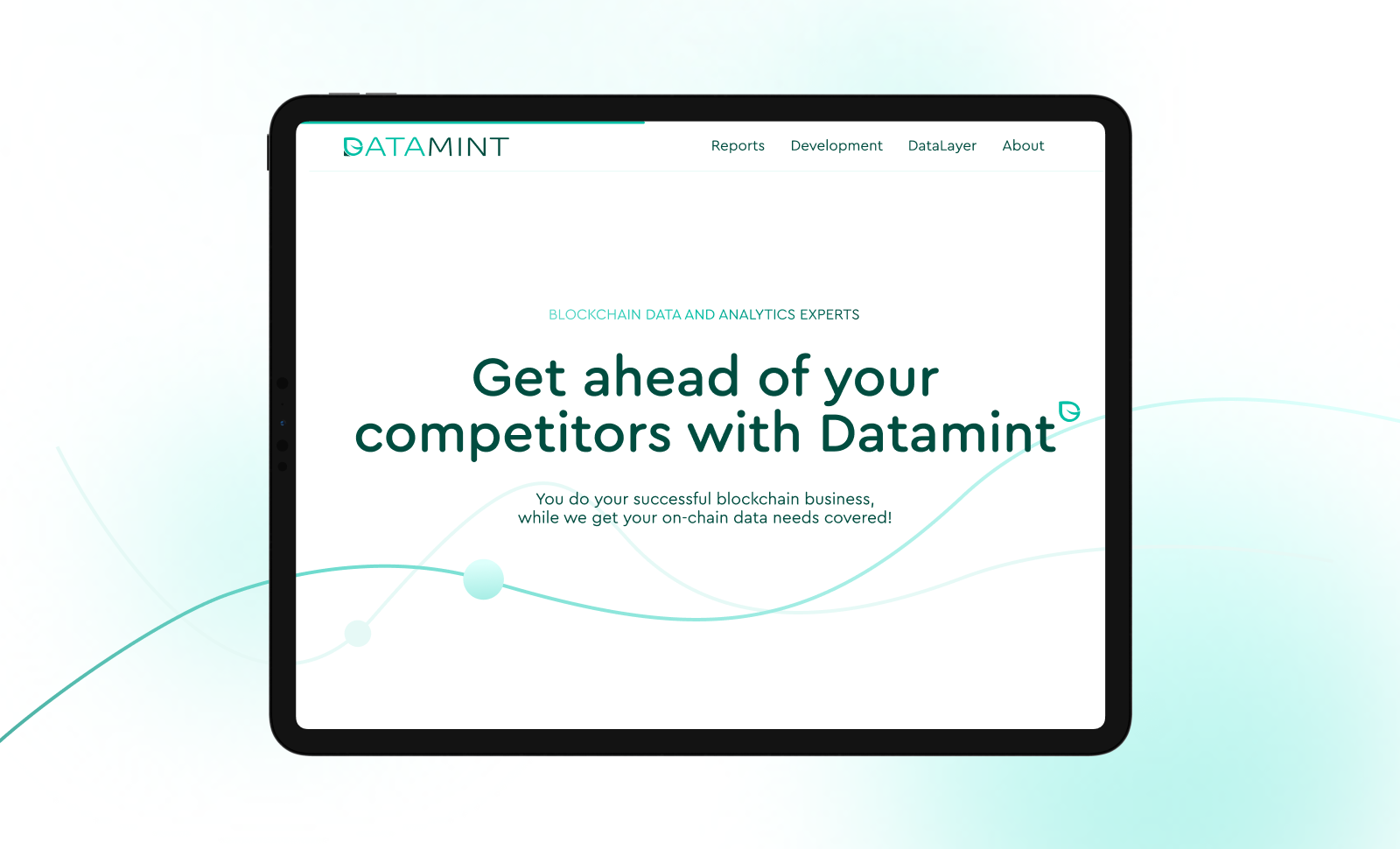 Datamint