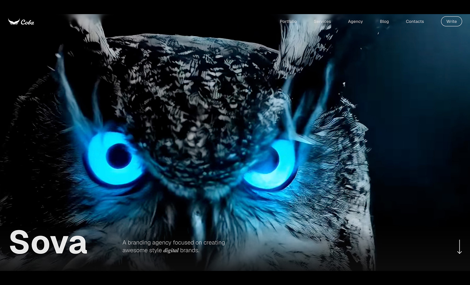 Sova brandign agency