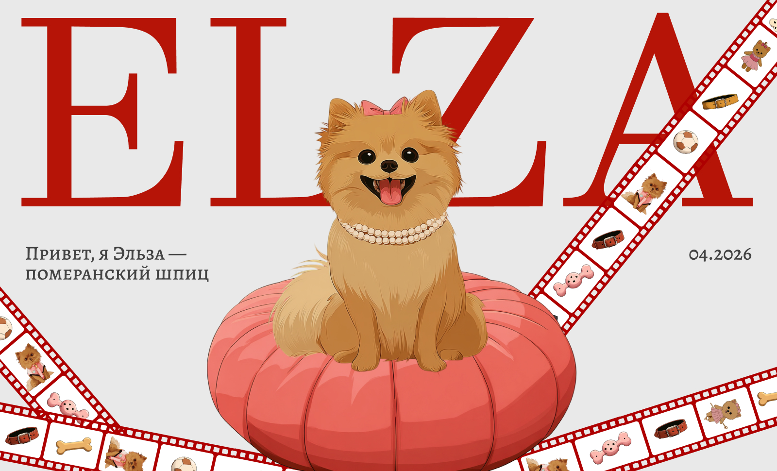 Elsa is a Pomeranian Spitz